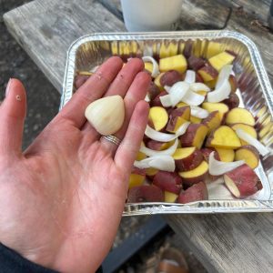culinary garlic – seasonal